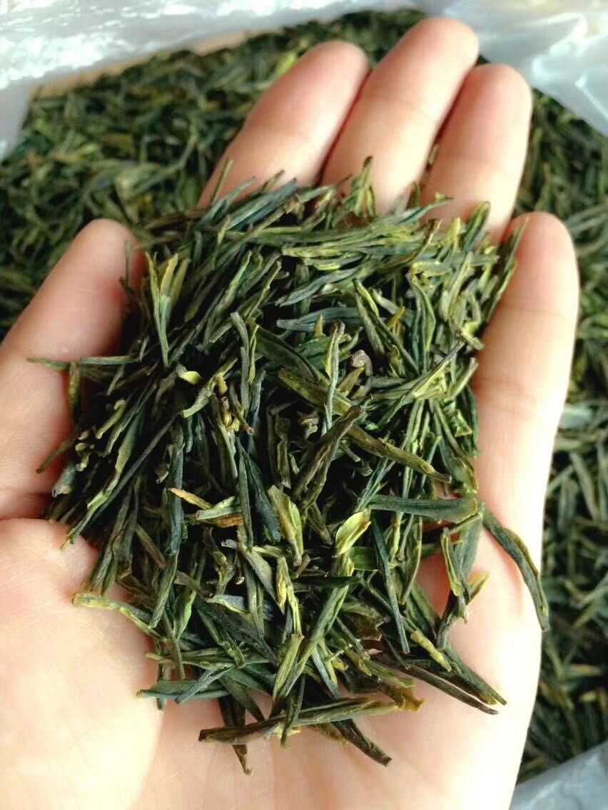 市面上的崂山茶真假之谜 你真的喝对了吗？